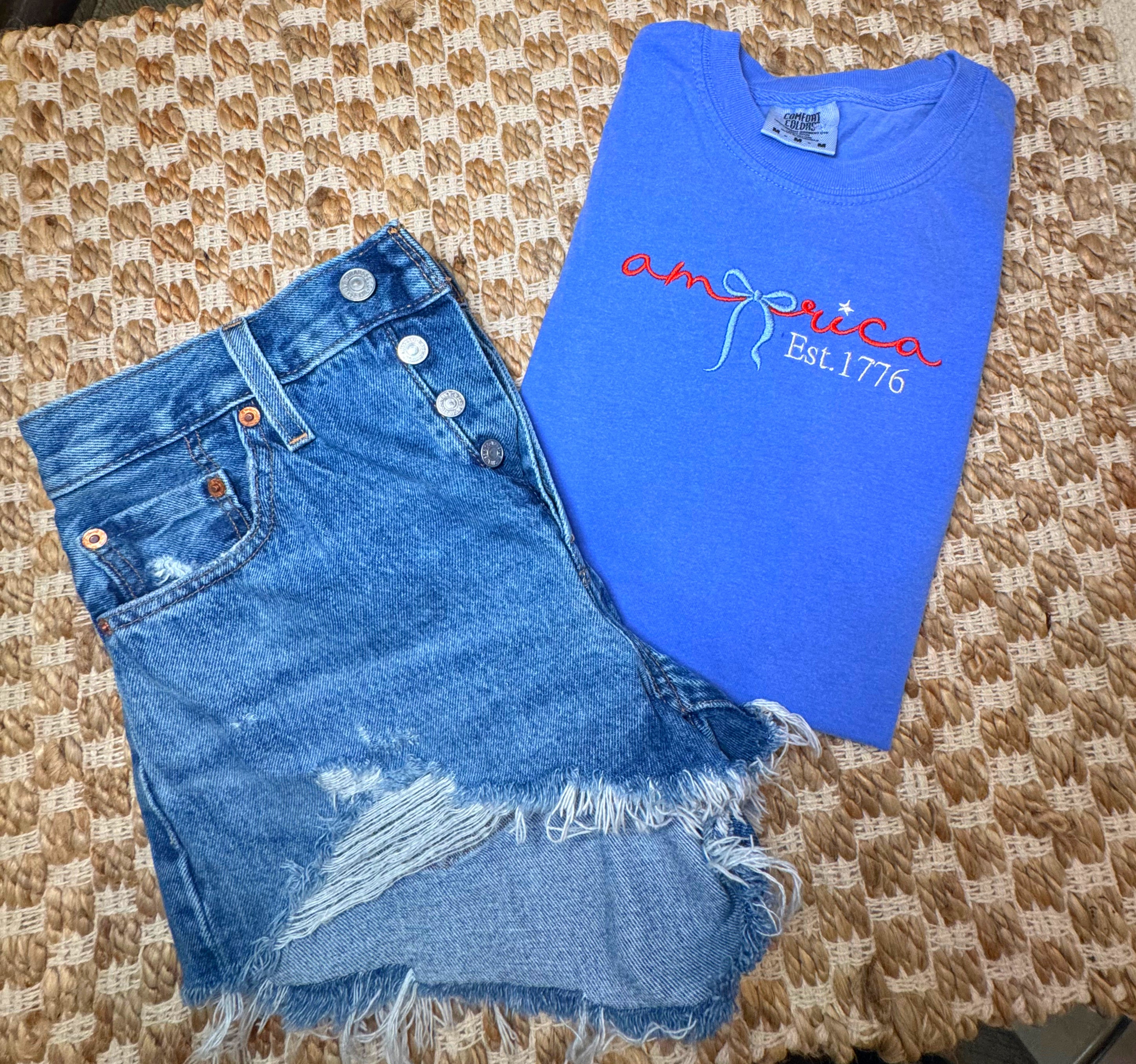 America Embroidered Tee