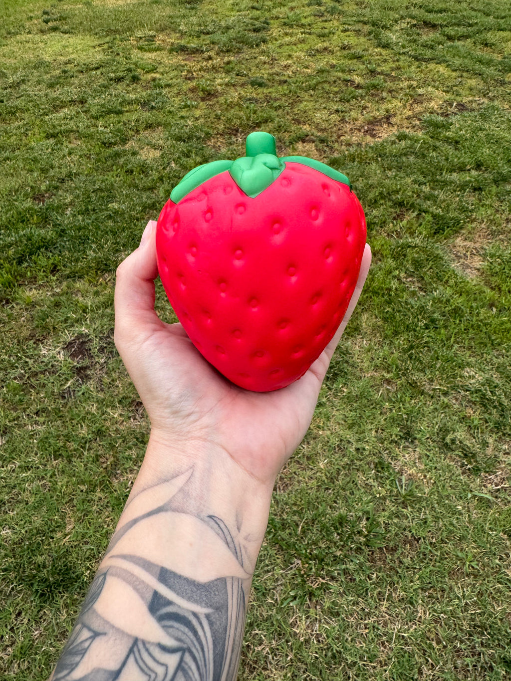 Strawberry Squishy
