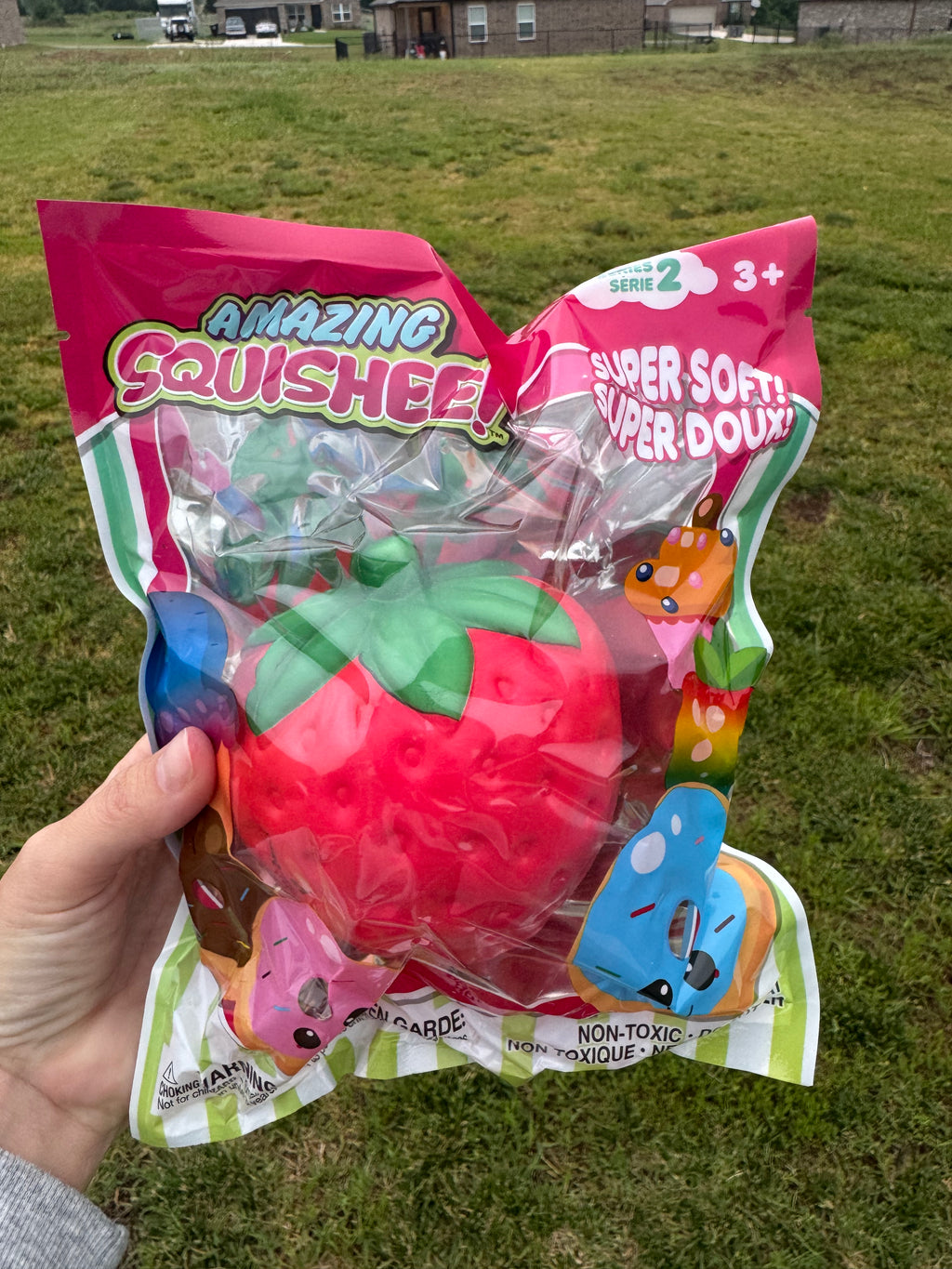 Strawberry Squishy