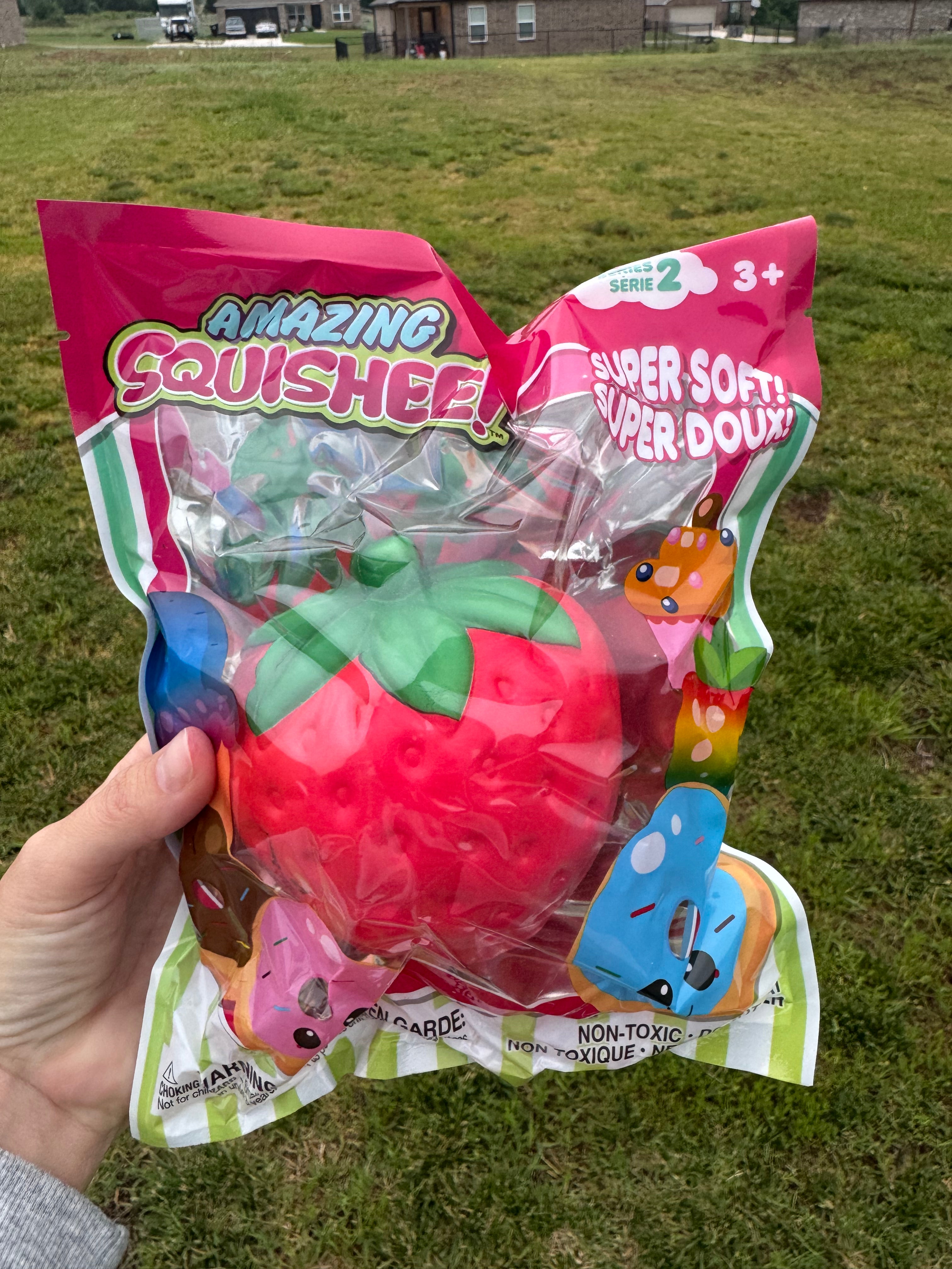 Strawberry Squishy